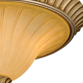 Dispositivo elétrico de iluminação de vidro do teto do candelabro/resina do teto do ferro forjado