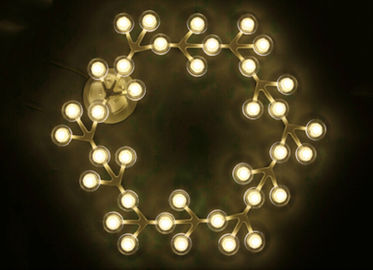 As luzes de teto de suspensão do círculo da rede do diodo emissor de luz com diodo emissor de luz aquecem o branco para salas de visitas