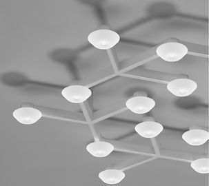 As luzes de teto de suspensão do círculo da rede do diodo emissor de luz com diodo emissor de luz aquecem o branco para salas de visitas